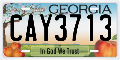 GA license plate CAY3713