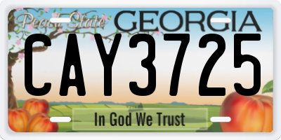 GA license plate CAY3725