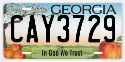 GA license plate CAY3729