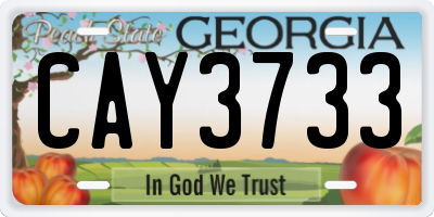GA license plate CAY3733
