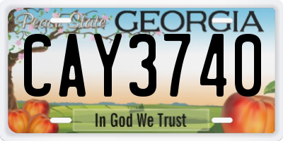 GA license plate CAY3740