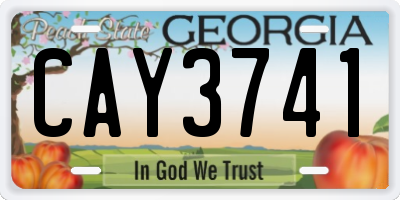 GA license plate CAY3741