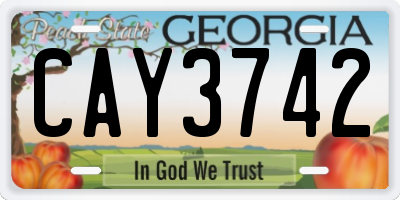 GA license plate CAY3742