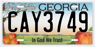 GA license plate CAY3749