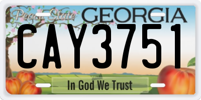 GA license plate CAY3751