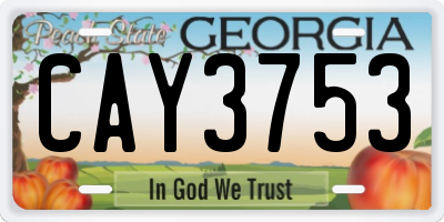 GA license plate CAY3753