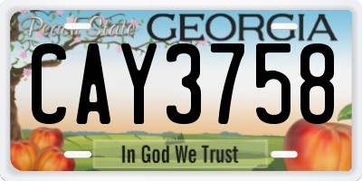 GA license plate CAY3758