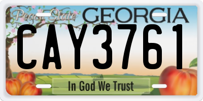 GA license plate CAY3761