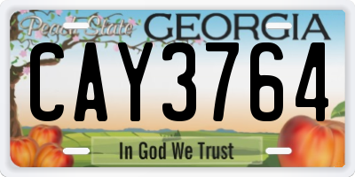 GA license plate CAY3764