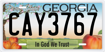 GA license plate CAY3767