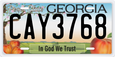 GA license plate CAY3768
