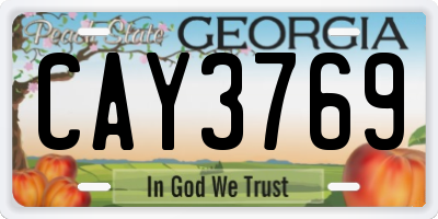GA license plate CAY3769