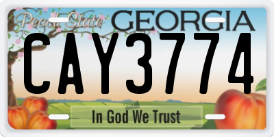 GA license plate CAY3774