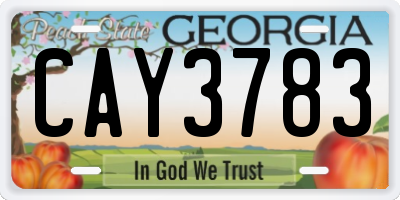 GA license plate CAY3783