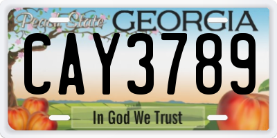 GA license plate CAY3789