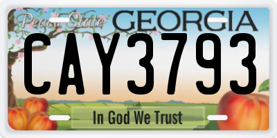 GA license plate CAY3793