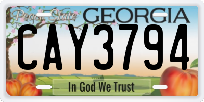 GA license plate CAY3794