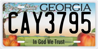 GA license plate CAY3795