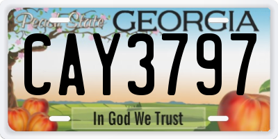 GA license plate CAY3797