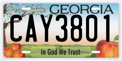 GA license plate CAY3801