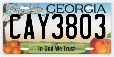 GA license plate CAY3803