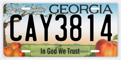 GA license plate CAY3814