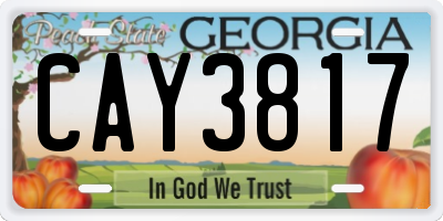 GA license plate CAY3817