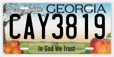 GA license plate CAY3819