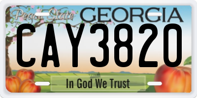 GA license plate CAY3820