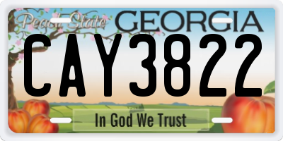GA license plate CAY3822