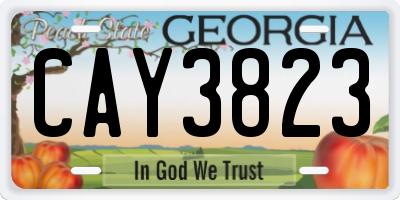 GA license plate CAY3823