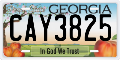 GA license plate CAY3825