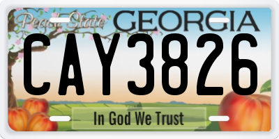 GA license plate CAY3826