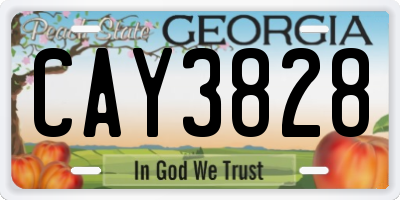 GA license plate CAY3828