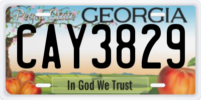 GA license plate CAY3829