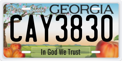 GA license plate CAY3830
