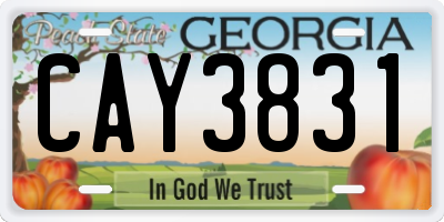 GA license plate CAY3831