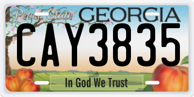 GA license plate CAY3835