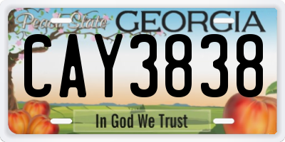 GA license plate CAY3838