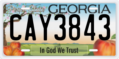 GA license plate CAY3843