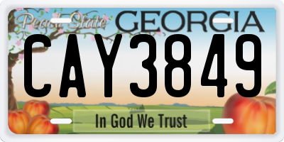 GA license plate CAY3849