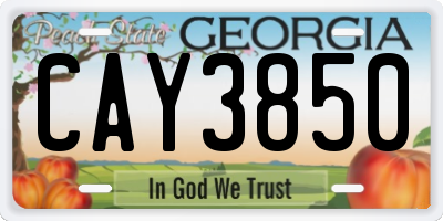 GA license plate CAY3850