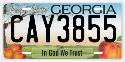 GA license plate CAY3855