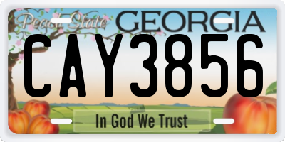 GA license plate CAY3856