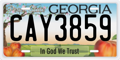 GA license plate CAY3859
