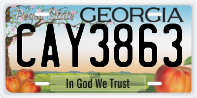 GA license plate CAY3863
