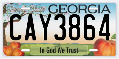 GA license plate CAY3864