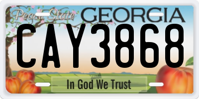 GA license plate CAY3868