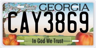 GA license plate CAY3869