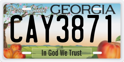 GA license plate CAY3871
